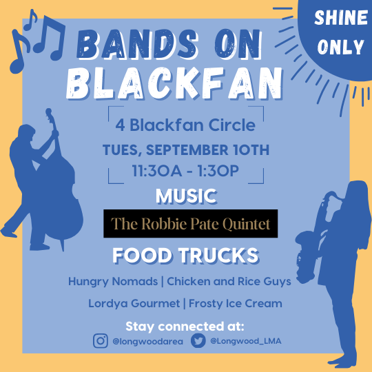 bands on blackfan promotional image