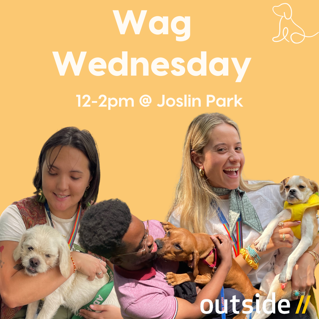 people holding puppies for wag wednesday